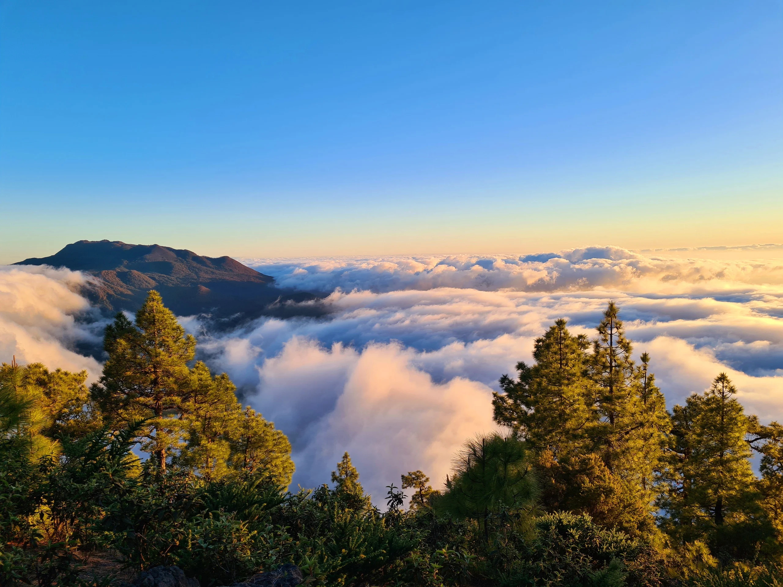 Volcanic landscape of La Palma